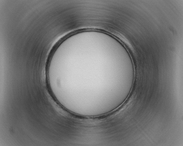 X0000113980980200910020945