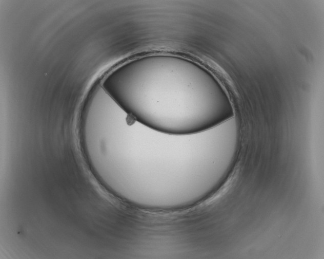 X0000113980981200910020945