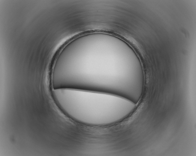 X0000113980983200910020945