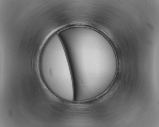 X0000113980984200910020945