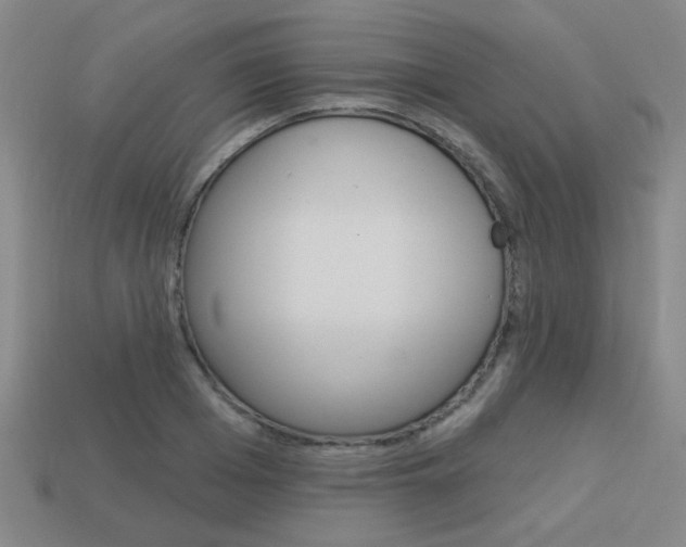 X0000113980985200910020945