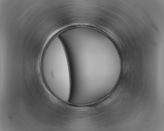 X0000113980988200910020945