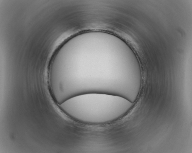 X0000113980990200910020945