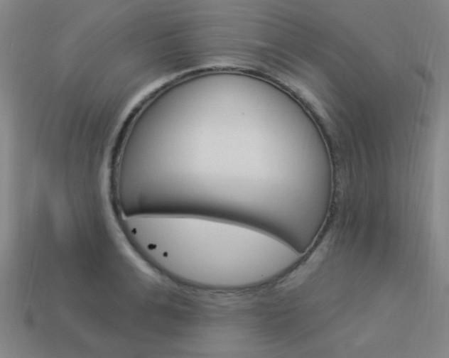 X0000113980991200910020945