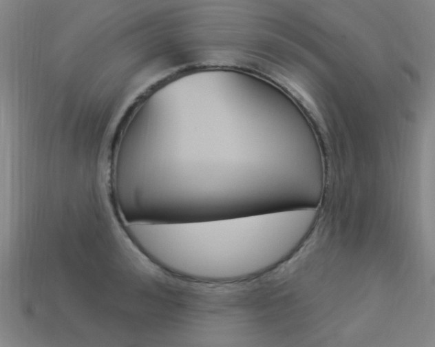 X0000113980992200910020945