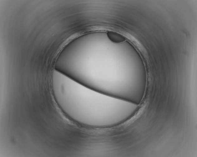 X0000113980993200910020945