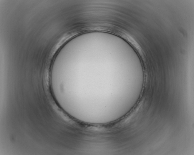 X0000113980994200910020945