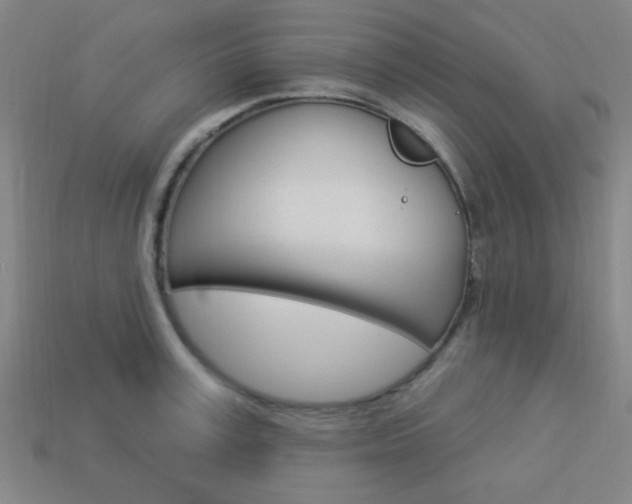X0000113980995200910020945