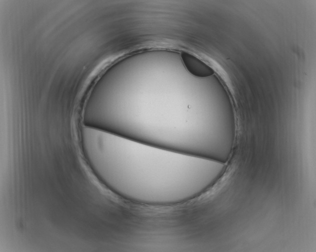 X0000113980997200910020945