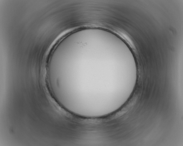 X0000113981000200910020945