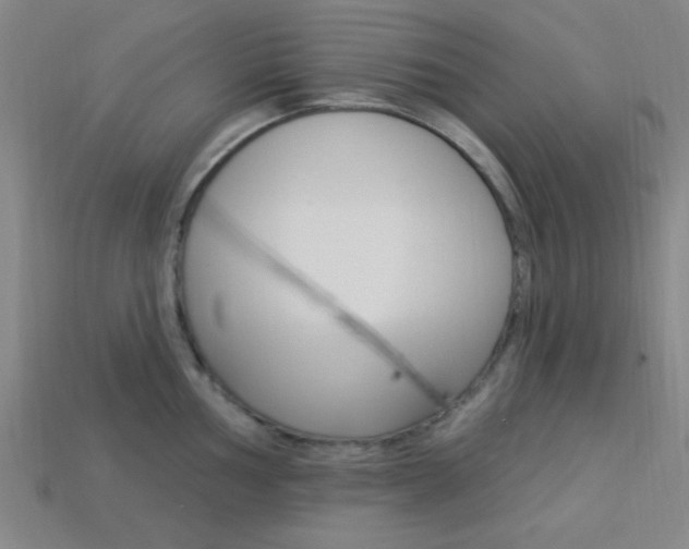 X0000113981002200910020945