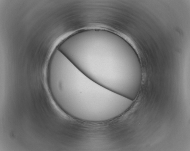X0000113981003200910020945