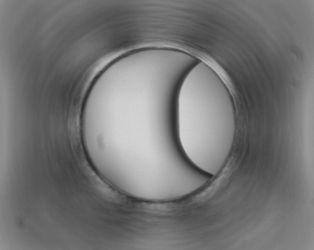 X0000113981004200910020945