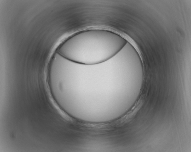 X0000113981005200910020945