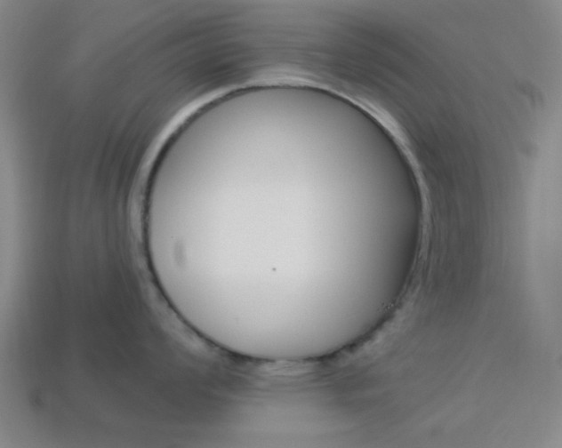 X0000113981008200910020945