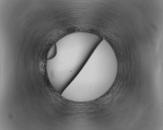 X0000113981010200910020944