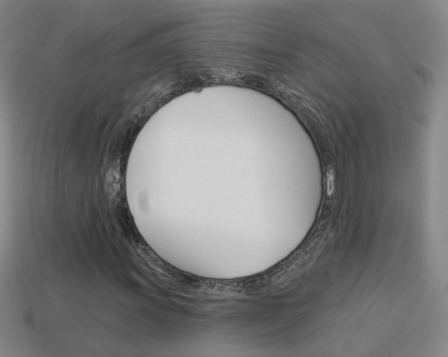 X0000113981011200910020944