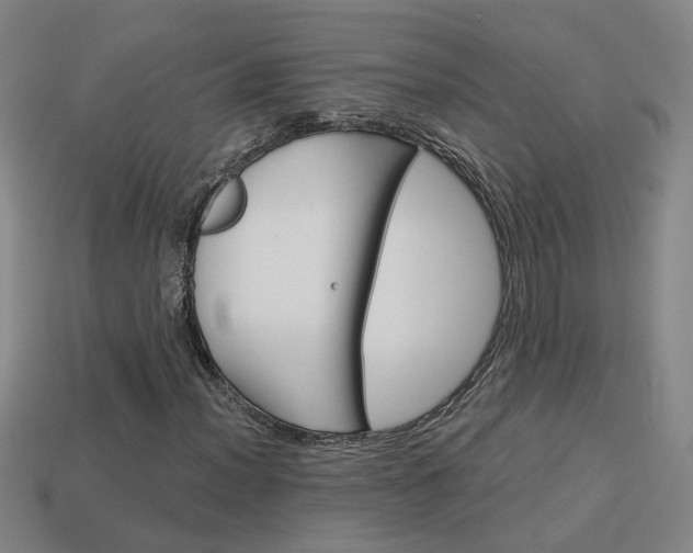 X0000113981012200910020944