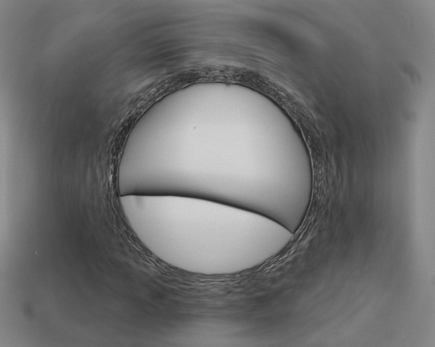 X0000113981013200910020944