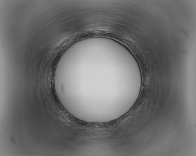 X0000113981014200910020944