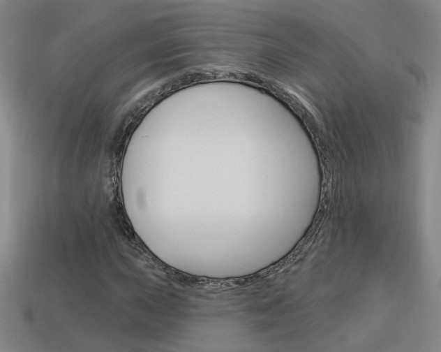 X0000113981015200910020944
