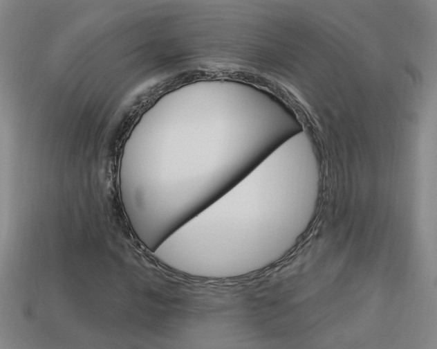 X0000113981016200910020944