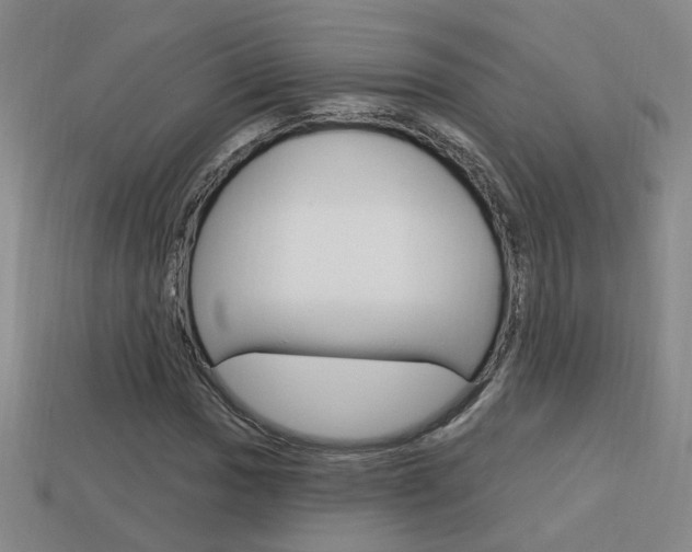 X0000113981017200910020944