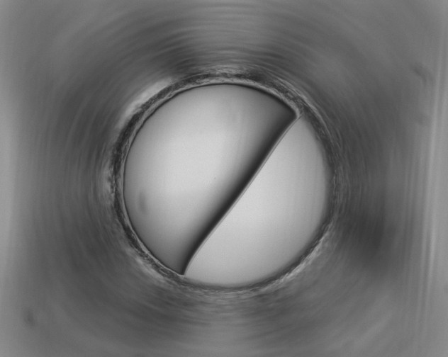 X0000113981018200910020944