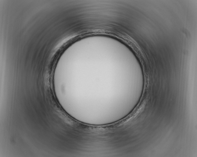 X0000113981019200910020944