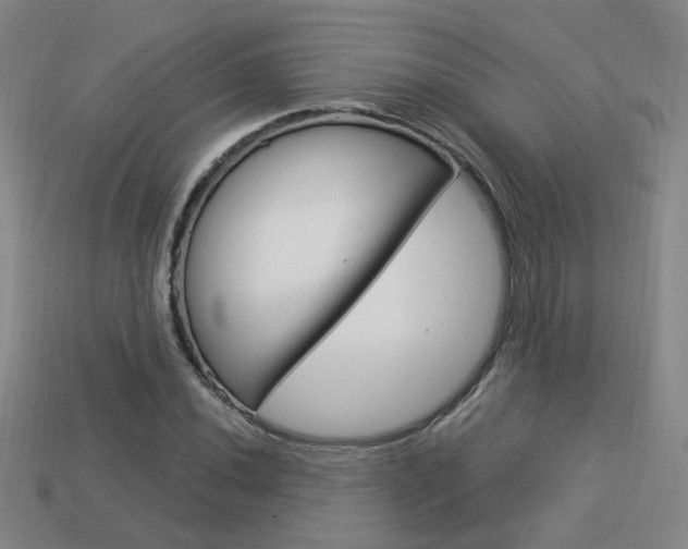 X0000113981020200910020944