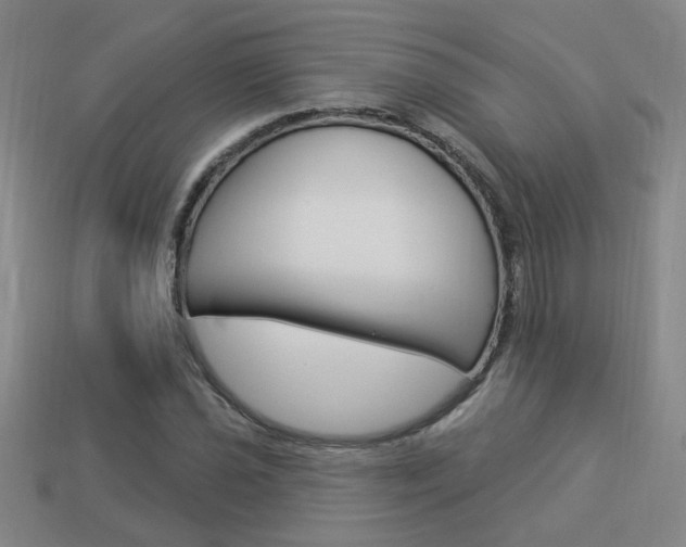 X0000113981021200910020944