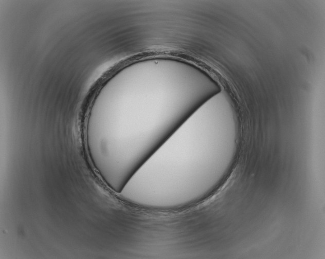 X0000113981022200910020944