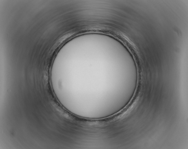 X0000113981025200910020945