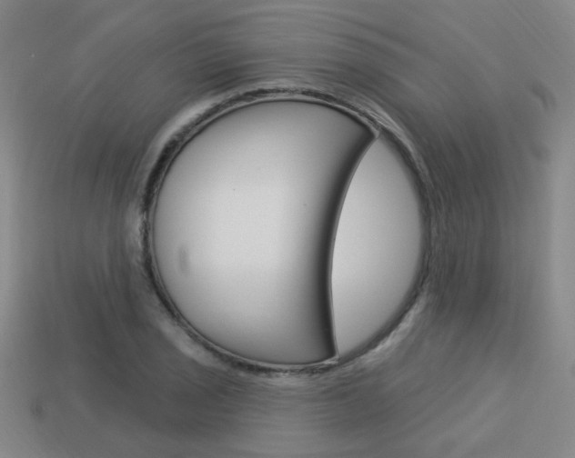 X0000113981029200910020945