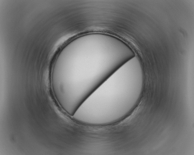 X0000113981030200910020945