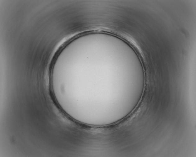 X0000113981032200910020945