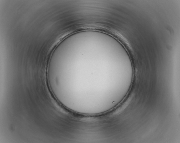 X0000113981033200910020945