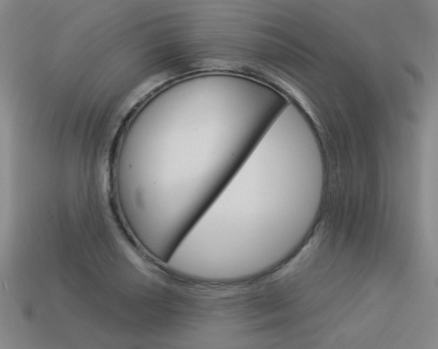 X0000113981034200910020945