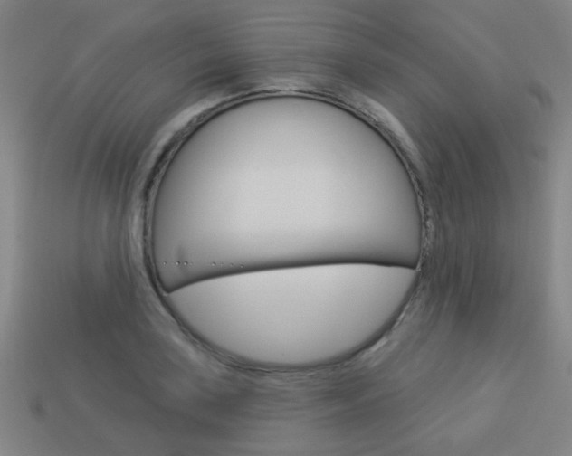 X0000113981035200910020945