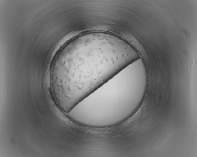 X0000113981036200910020945
