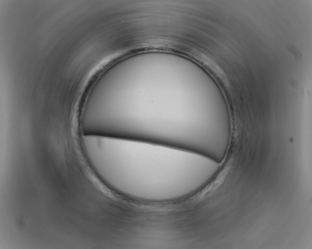 X0000113981037200910020945