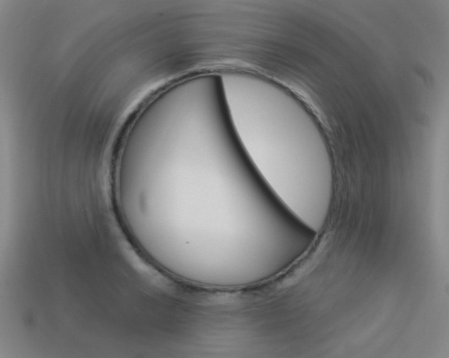 X0000113981038200910020945