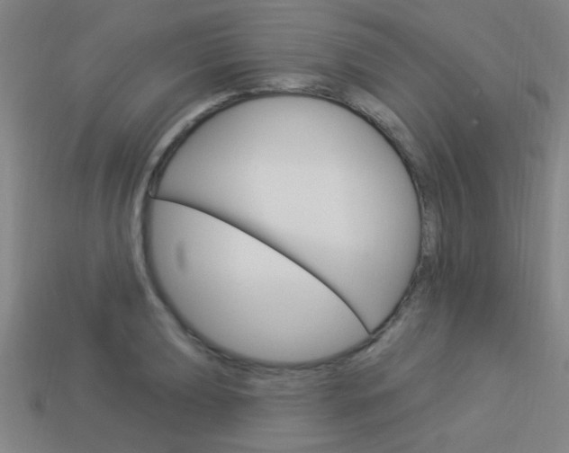 X0000113981039200910020945