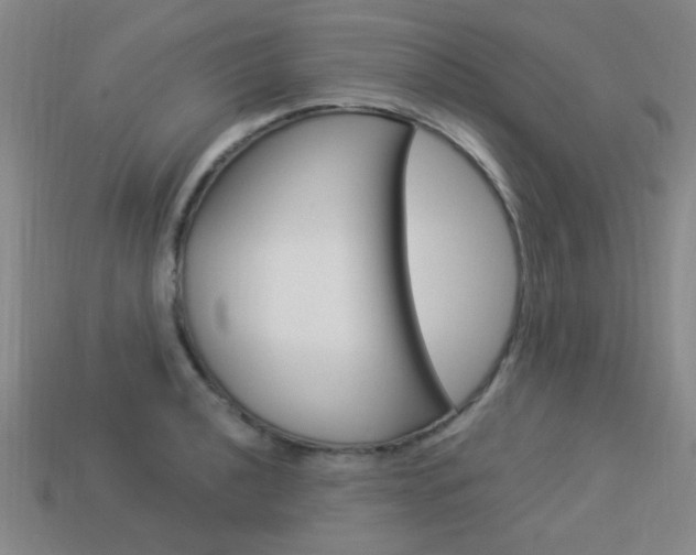 X0000113981040200910020945