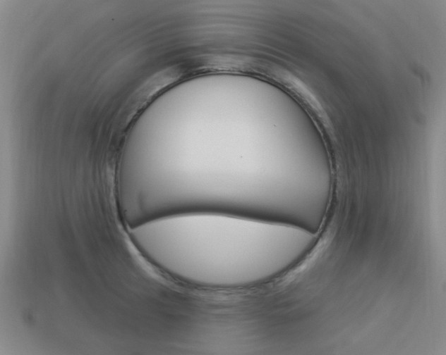 X0000113981041200910020945