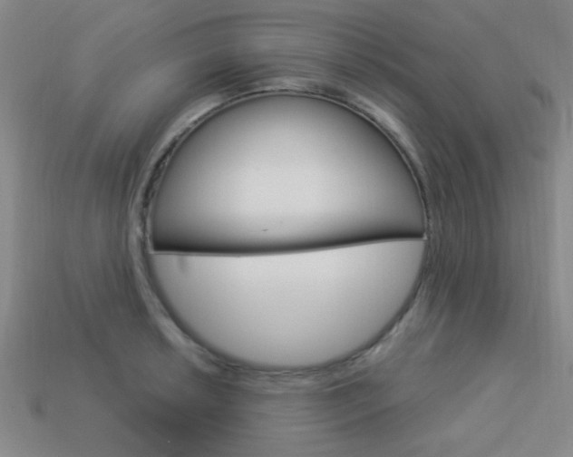 X0000113981042200910020945