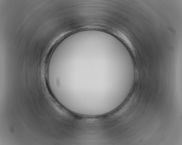 X0000113981043200910020945