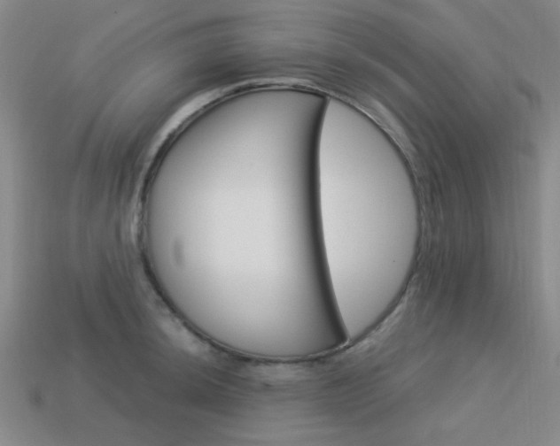 X0000113981044200910020945
