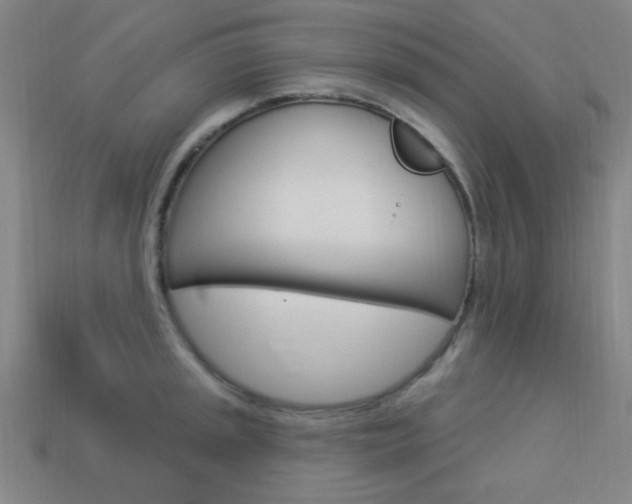 X0000113981045200910020945