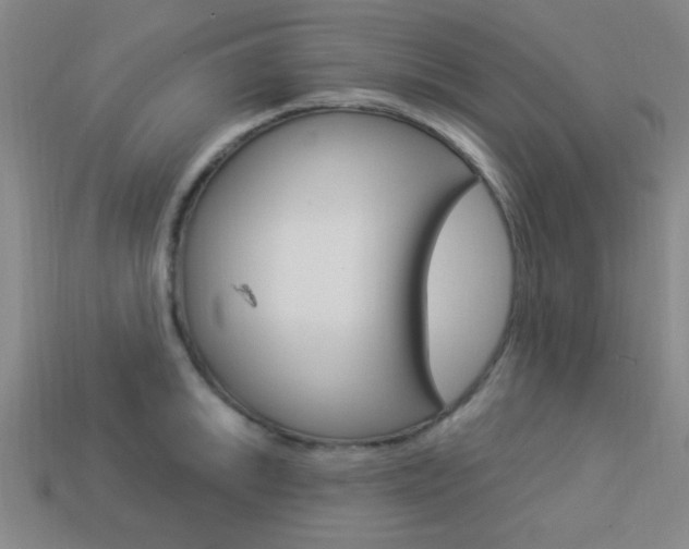 X0000113981046200910020945